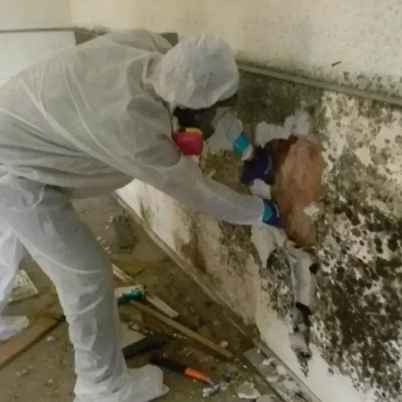 Mold Remediation and Removal in Lilbourn, MO